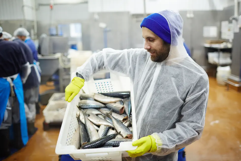 Midlertidig arbejdstager på en fiskefabrik, der hjælper med effektiv forarbejdning og pakning af fiskeprodukter